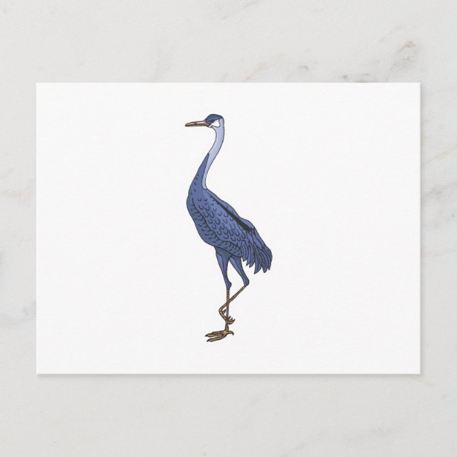Carte Postale oiseau bleu (Devant)