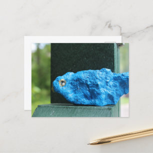 Carte Postale Oiseau Bleu Adorable Roche