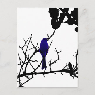 Carte Postale Oiseau bleu sur l'arbre noir