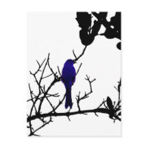 Oiseau bleu sur l'arbre noir