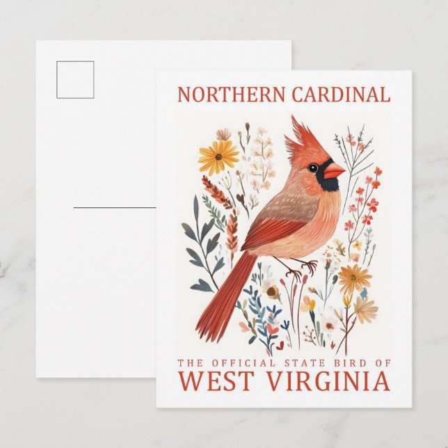 Carte Postale Oiseau cardinal du nord de la Virginie-Occidentale (Devant / Derrière)
