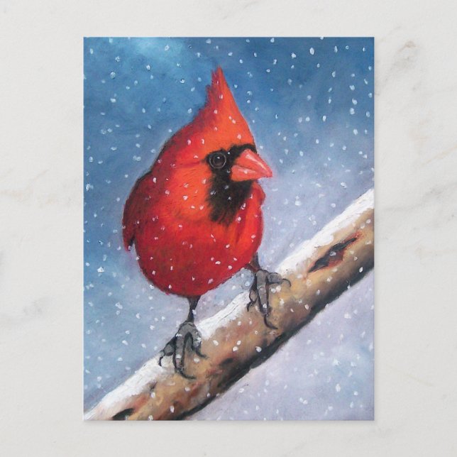 CARTE POSTALE OISEAU : CARDINAL : NEIGE : HUILE PASTEL ART (Devant)