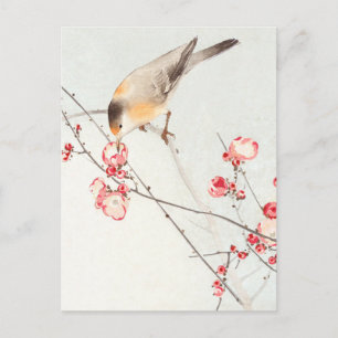 Carte Postale Oiseau chanteur sur une branche en fleurs - Ohara 