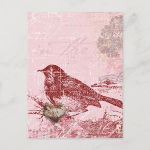 Carte Postale Oiseau d'amour rose