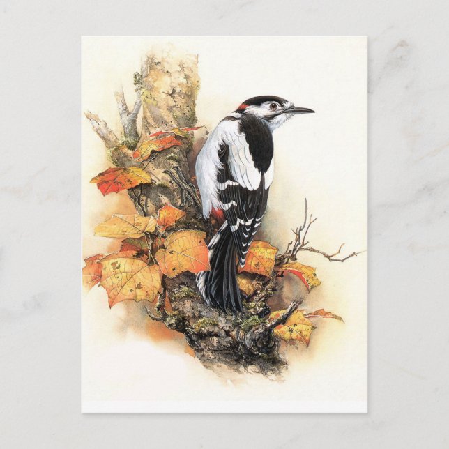 Carte Postale Oiseau d'automne (Devant)