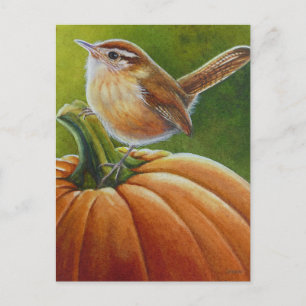 Carte Postale Oiseau d'automne Wren sur Orange Citrouille aquare