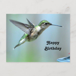 Carte Postale Oiseau de colibri Green Vol Photo Faune Anniversai