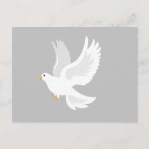 Carte Postale Oiseau de colombe blanche sur gris