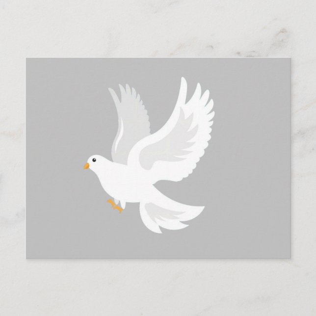 Carte Postale Oiseau de colombe blanche sur gris (Devant)