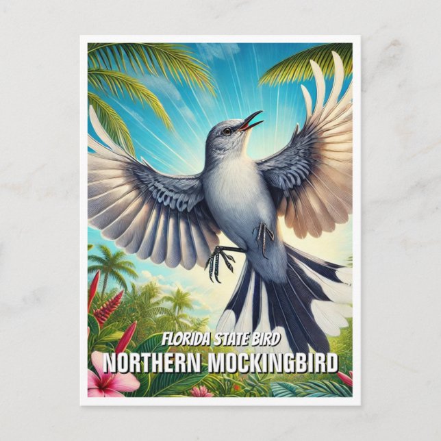 Carte Postale Oiseau de Floride du Nord (Devant)