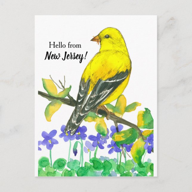 Carte Postale Oiseau de Goldfinch Oriental Bonjour Du New Jersey (Devant)