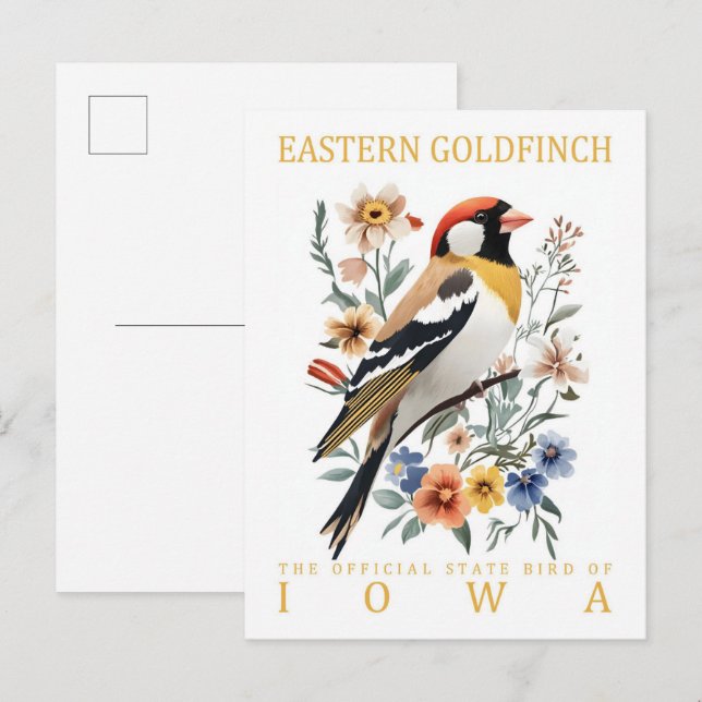Carte Postale Oiseau de Goldfinch oriental Iowa USA Travel (Devant / Derrière)