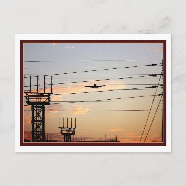 Carte Postale Oiseau de guerre (Devant)