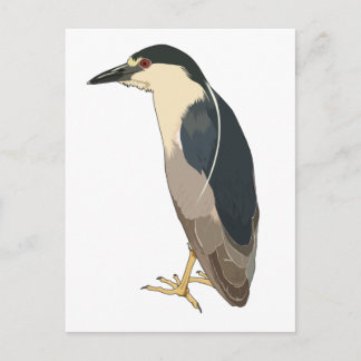 Carte Postale Oiseau de héros de nuit à couronne noire