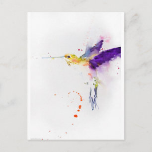 Carte postale - Oiseau de Humming