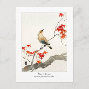 Carte Postale Oiseau de la peste japonaise sur érable - Ohara Ko