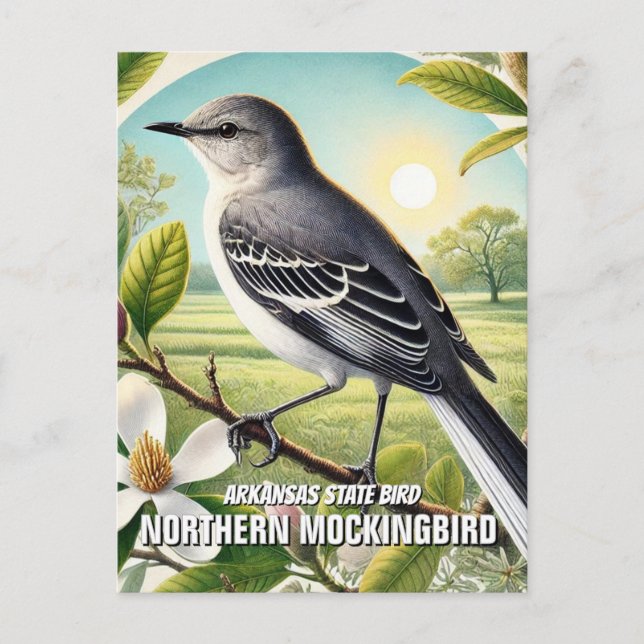 Carte Postale Oiseau de l'État de l'Arkansas (Devant)