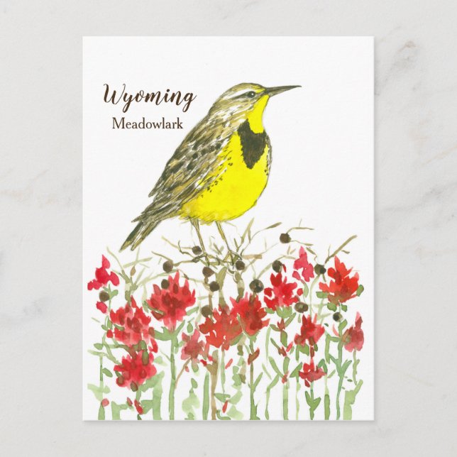 Carte Postale Oiseau de l'État de Meadowlark dans le Wyoming (Devant)