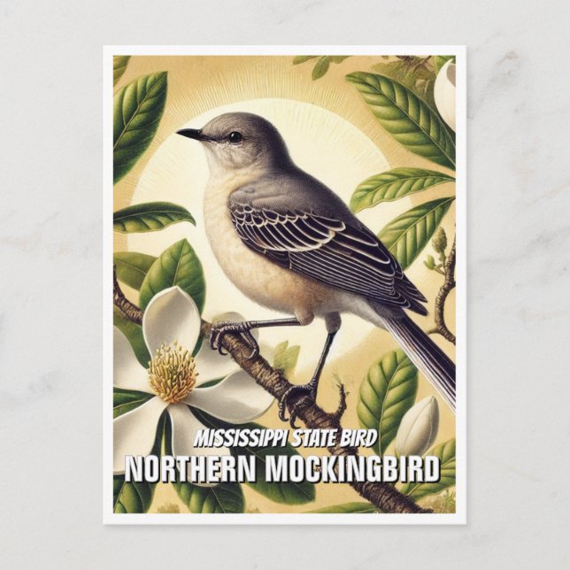 Carte Postale Oiseau de l'État du Mississippi (Devant)