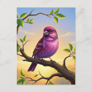 Carte Postale Oiseau de l'État du New Hampshire Roselin pourpré