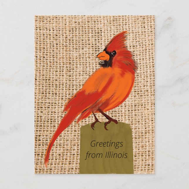 Carte Postale Oiseau de l'Illinois (Devant)