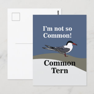 Carte Postale Oiseau de mer de la sterne commune amusant