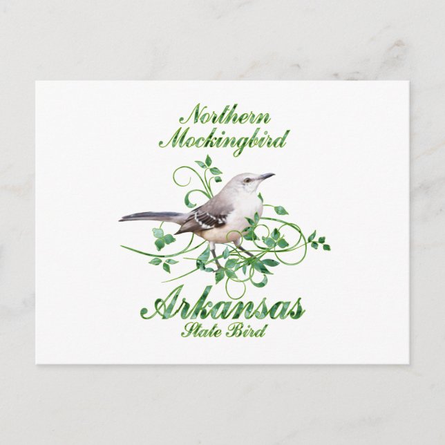 Carte Postale Oiseau de Mockingbird Arkansas (Devant)