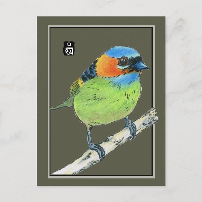 Carte Postale Oiseau de Tanager à cou rouge (Devant)