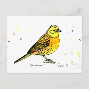 Carte Postale Oiseau de Yellowhammer