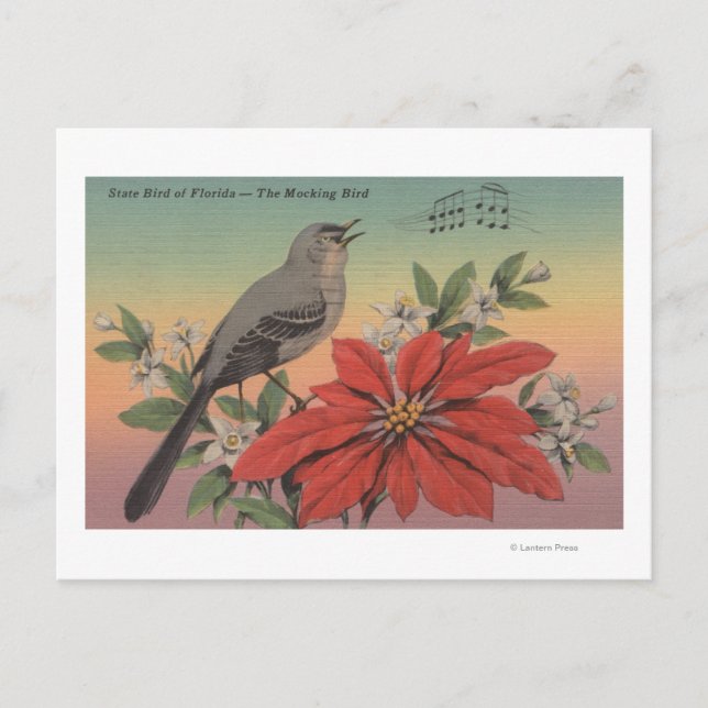 Carte Postale Oiseau d'État de FlorideMocking Oiseau de Floride (Devant)