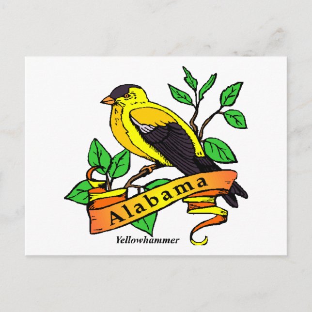 Carte Postale Oiseau d'État de l'Alabama (Devant)
