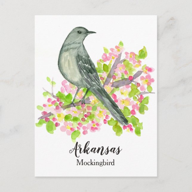 Carte Postale Oiseau d'État de l'Arkansas Mockingbird Apple Blos (Devant)