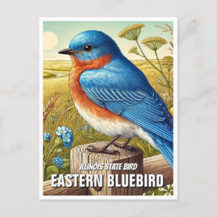 Carte Postale Oiseau d'État de l'Illinois Bluebird oriental