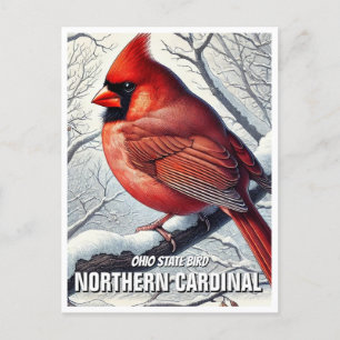 Carte Postale Oiseau d'État de l'Ohio Cardinal du Nord