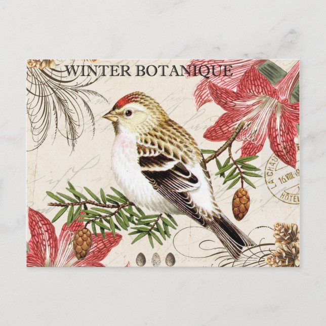 Carte Postale oiseau d'hiver vintage (Devant)