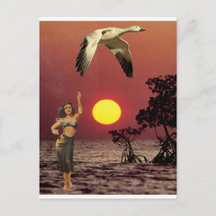 Carte Postale Oiseau du Paradis -