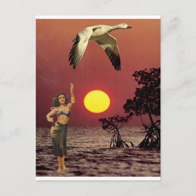 Carte Postale Oiseau du Paradis - (Devant)