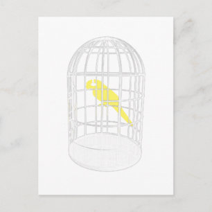 Carte Postale Oiseau en cage