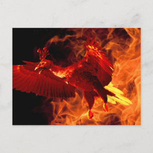 Carte Postale Oiseau en feu