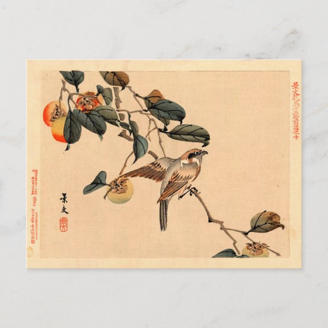Carte Postale Oiseau en PersimmonTree (Devant)