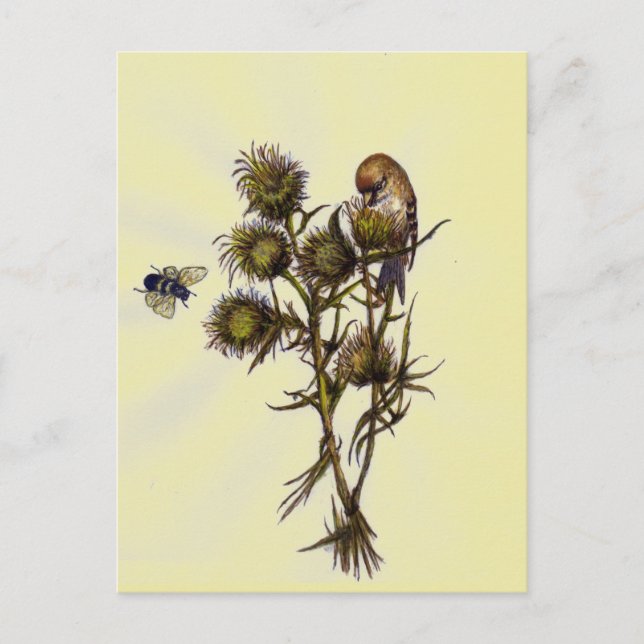 Carte Postale Oiseau et abeille (Devant)