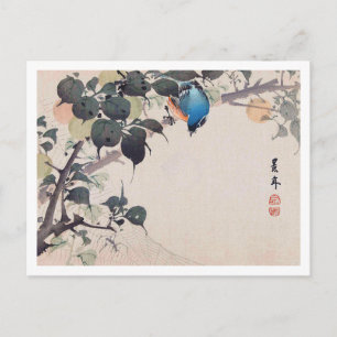 Carte Postale Oiseau et araignée, Imao Keinen