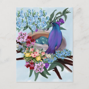 Carte Postale oiseau et nid