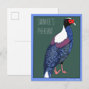 Carte Postale Oiseau -- Faisan de Swinhoe