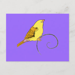 Carte Postale Oiseau jaune