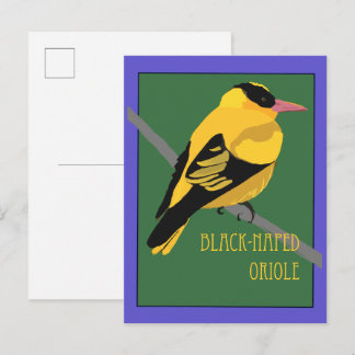 Carte Postale Oiseau - Loriot à gorge noire