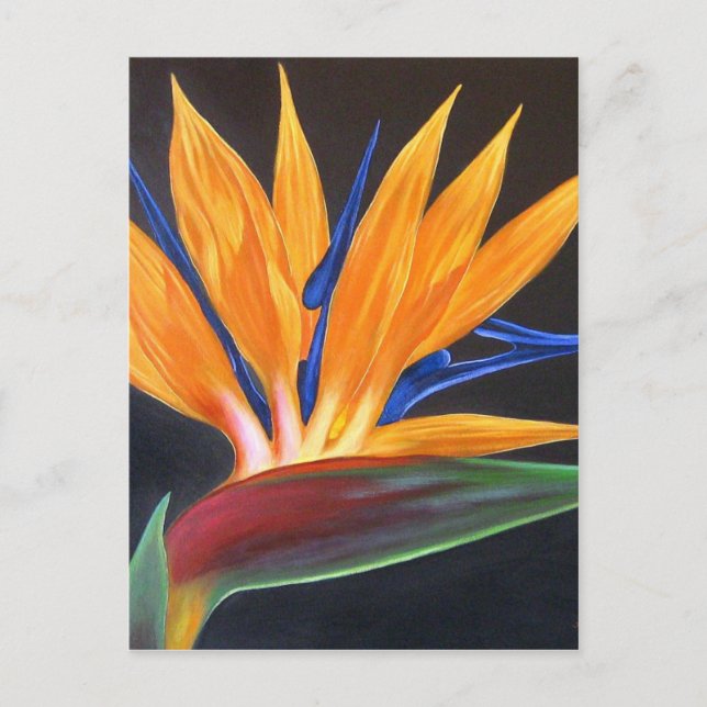 Carte Postale Oiseau moderne du Paradis Peinture florale tropica (Devant)