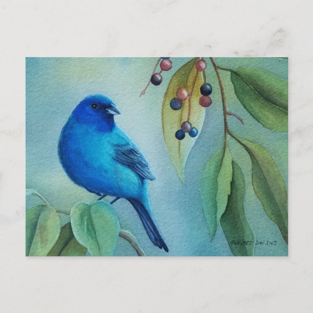 Carte Postale Oiseau pinson indigo mâle, Art à l'aquarelle Hackb (Devant)