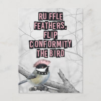 Oiseau Punk Alternatif Anti Conformité
