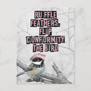 Carte Postale Oiseau Punk Alternatif Anti Conformité